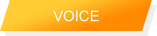 VOICE